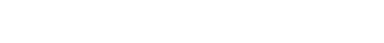 Bota Security SRL